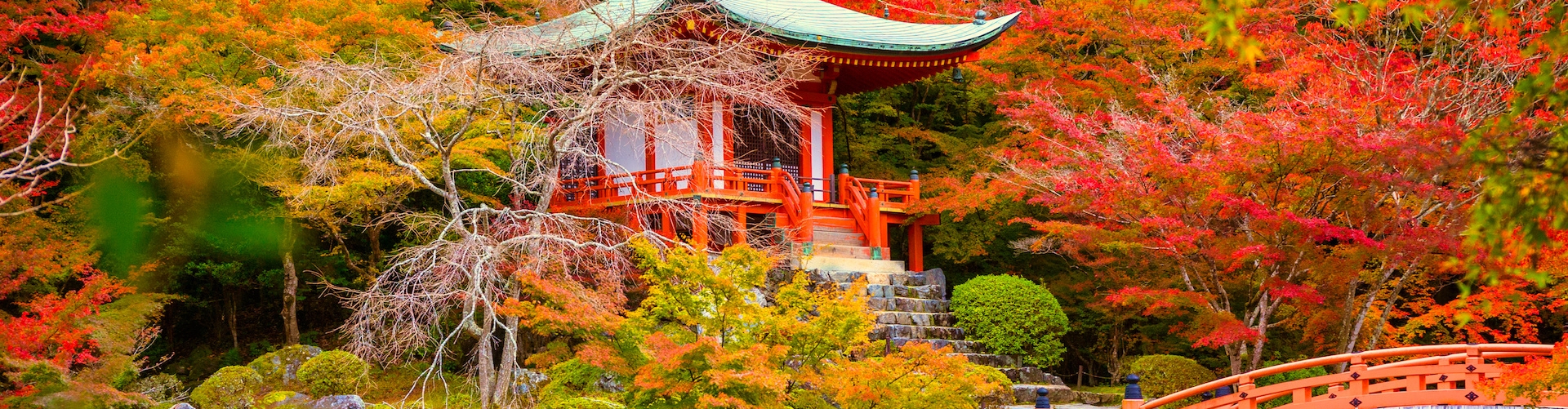 Giappone, nei colori dell'autunno
