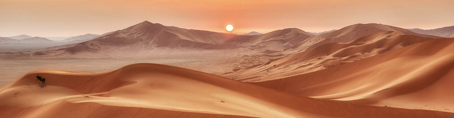 Oman del sud, lo spettacolo del deserto