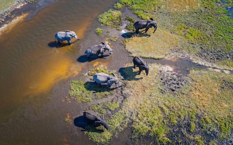 Il Delta dell'Okavango, il Parco Etosha e le Cascate Vittoria