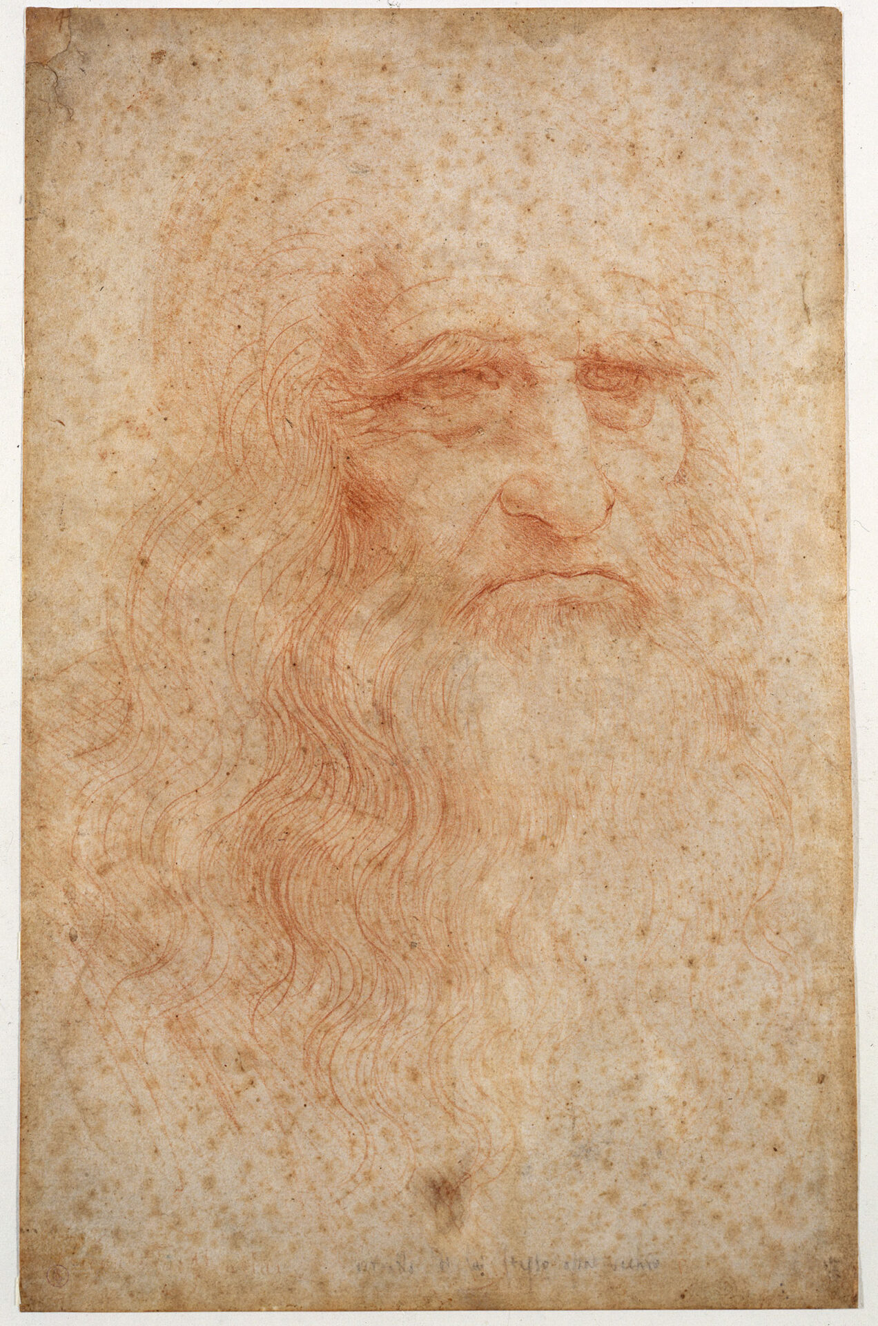 Leonardo e Guercino, le grandi mostre a Torino